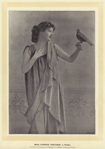 Miss Connie Collier: egy tanulmány