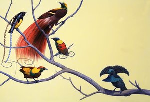 Paradicsomi madarak