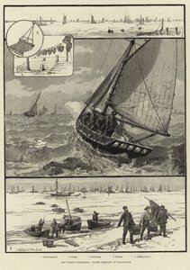 Halászati iparágaink: osztrigakotrás Whitstable-ban