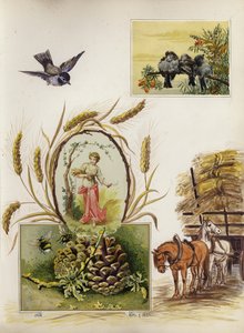 Oldal a késő viktoriánus vendégkönyvből (multimédiás)