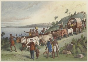 Megérkezés a Ngami-tóhoz