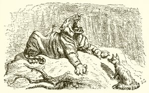 A róka és a tigris
