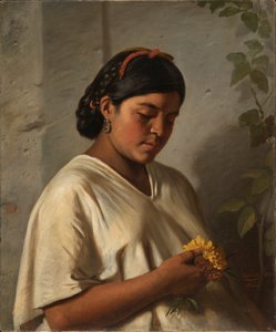 Indiai nő körömvirággal, 1876