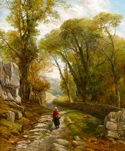 Erdőséta, 1872
