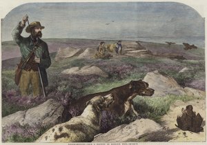Grouse lövöldözés