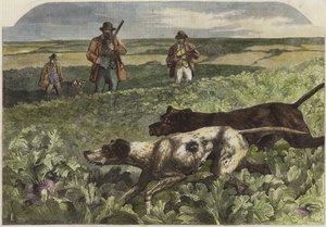 Szeptember elseje