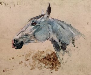 Fehér Ló "Gazelle", 1881