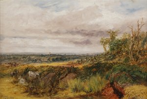 Táj, 1856