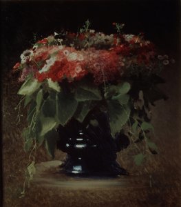 Virágcsokor. Phloxes, 1884