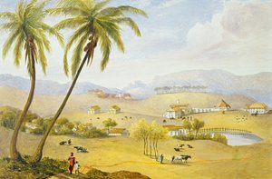 Haughton Court, Hannover, Jamaica, 1820 körül