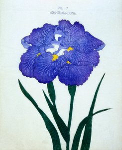Asa-Zuma-Bune, no.7, 1898 