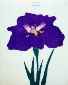 A köpenyt is. 1898. 26