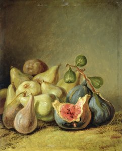Gyümölcs csendélet