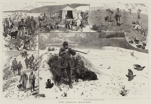 The Grouse Harvest