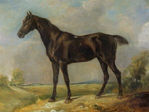 Golding Constable fekete lovaglólova, 1805-10 körül
