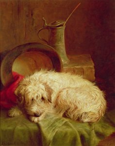 Egy terrier