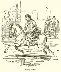 Fiatal Varro