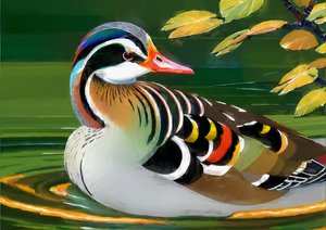 Állatok: mandarin kacsa 1