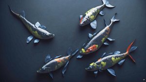 tusfestés: Koi-Karpfish_rainbow_02