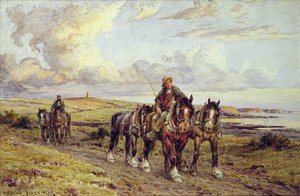 A Plough csapat