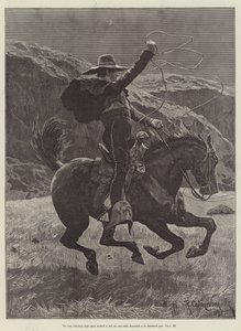 Maruja, szerző: Bret Harte