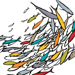 Something Fishy, 2009 (digitális)