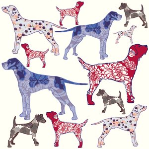 Topdogs, 2005 (digitális)