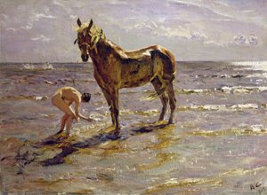 Lófürdetés, 1905
