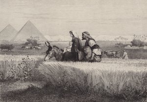 Repülés Egyiptomba