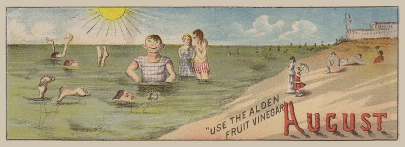 augusztus alkotó: American School