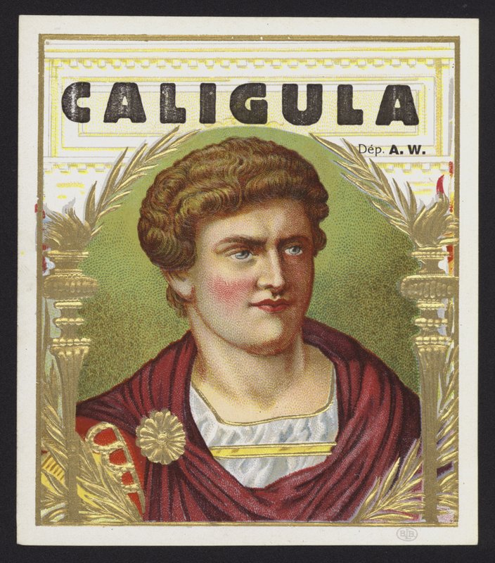 Caligula alkotó: American School
