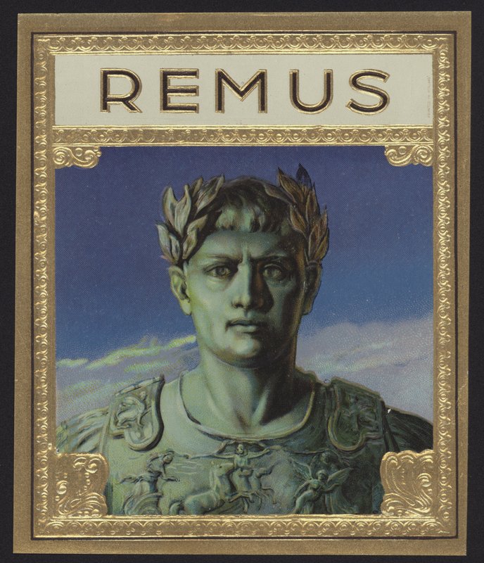 Remus alkotó: American School