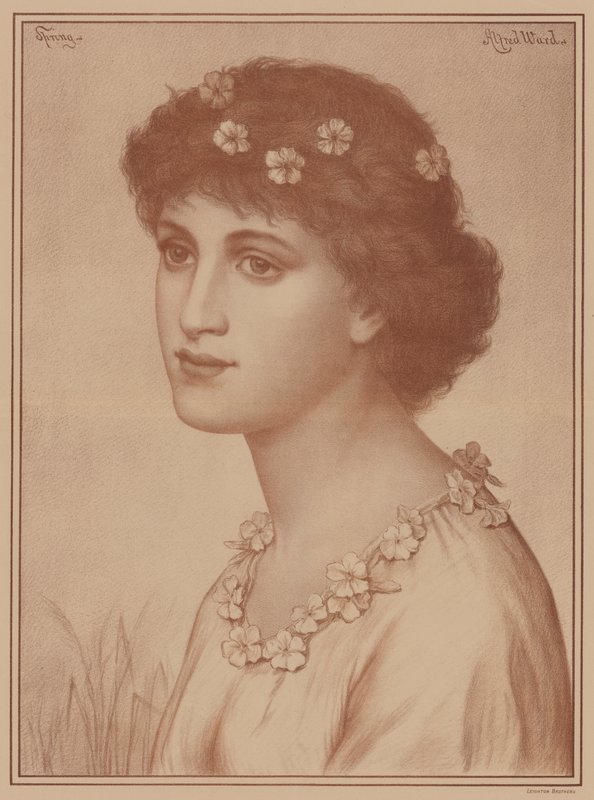 Tavaszi alkotó: English School
