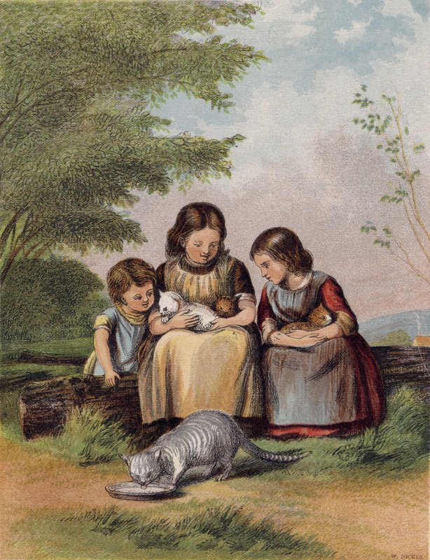 A kisállat cicák alkotó: English School