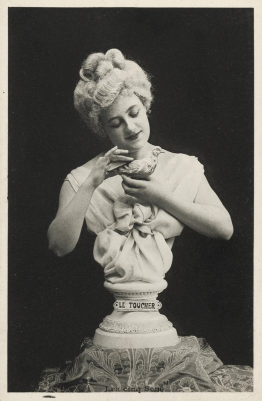 Egy nő mellszobra egy madárral alkotó: French Photographer