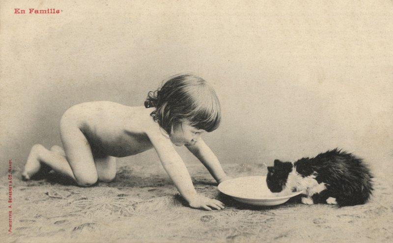 Gyermek cicával alkotó: French Photographer