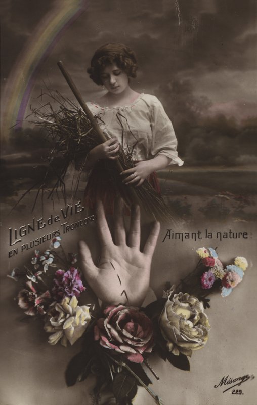 Tenyérjóslás: az életvonal alkotó: French Photographer