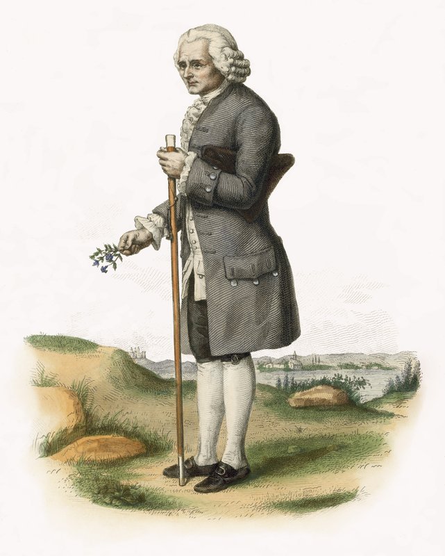 Jean-Jacques Rousseau alkotó: French School