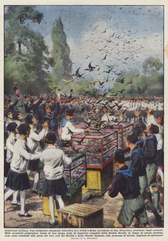 olasz kedvesség alkotó: Achille Beltrame