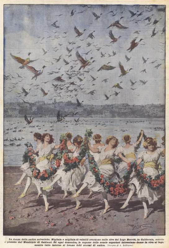 A vadkacsák tánca alkotó: Achille Beltrame