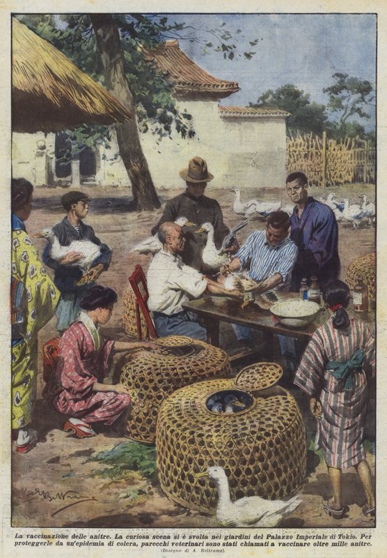 A kacsák vakcinázása alkotó: Achille Beltrame