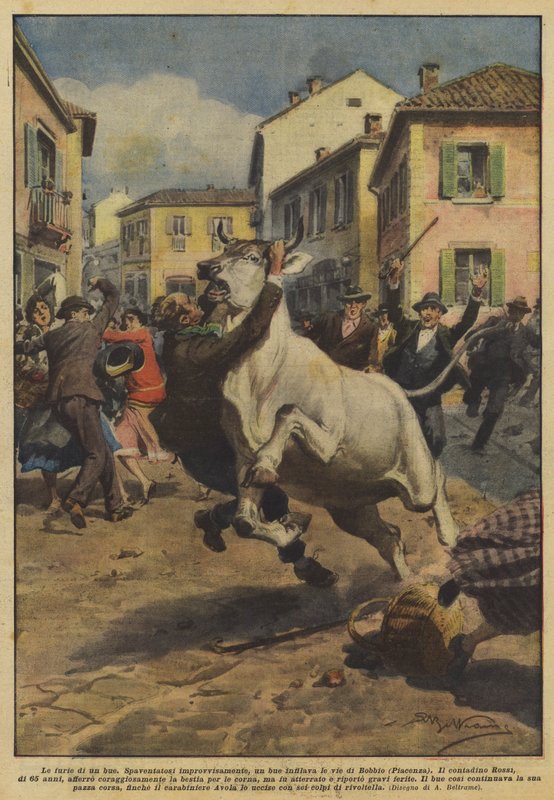 Egy ökör dühe alkotó: Achille Beltrame