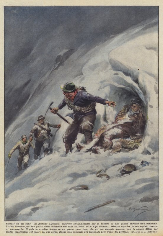 Egy kutya mentette meg alkotó: Achille Beltrame