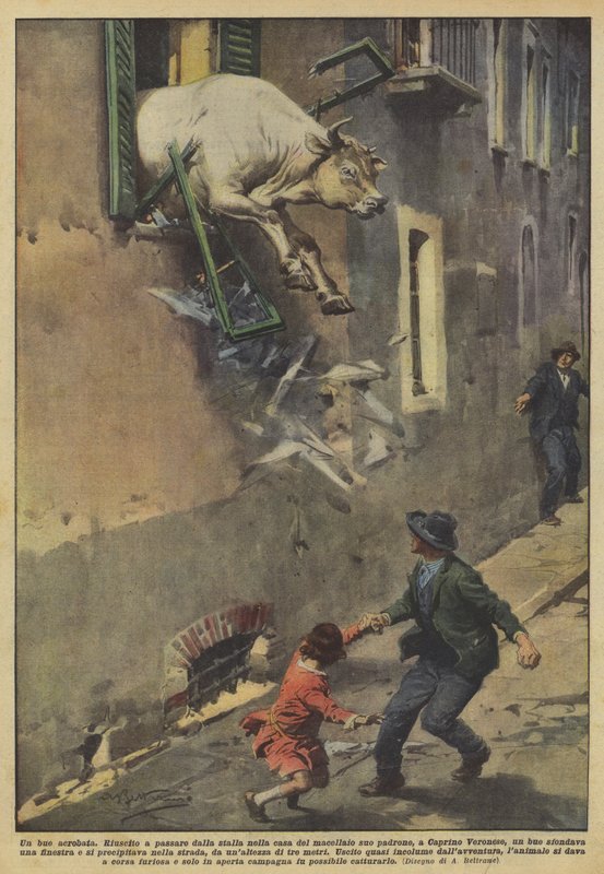 Egy akrobata ökör alkotó: Achille Beltrame