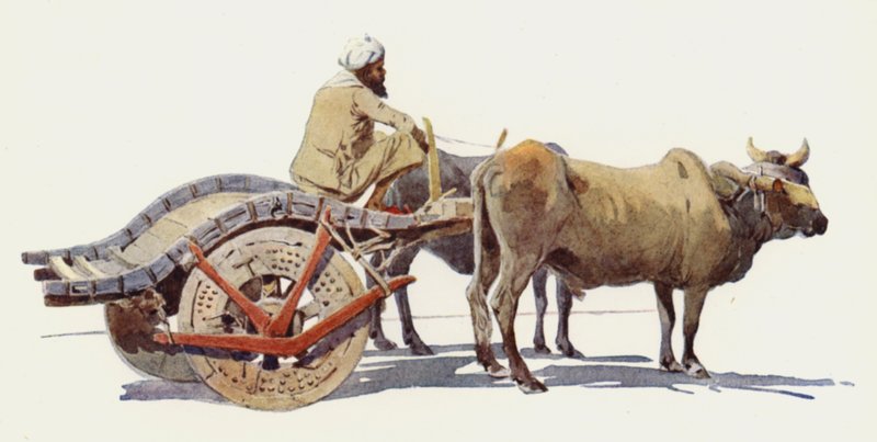 Bullock kocsi, Jodhpur alkotó: Alexander Henry Hallam Murray