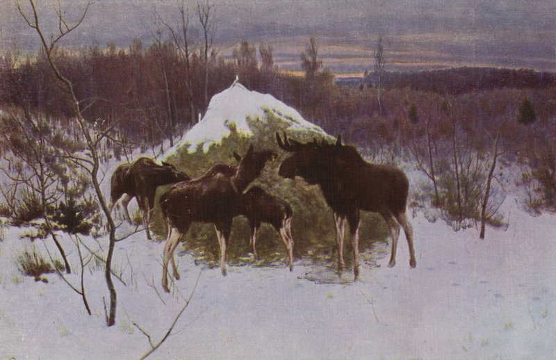 Elk csorda, 1889 alkotó: Alexei Steipanovitch Stepanov