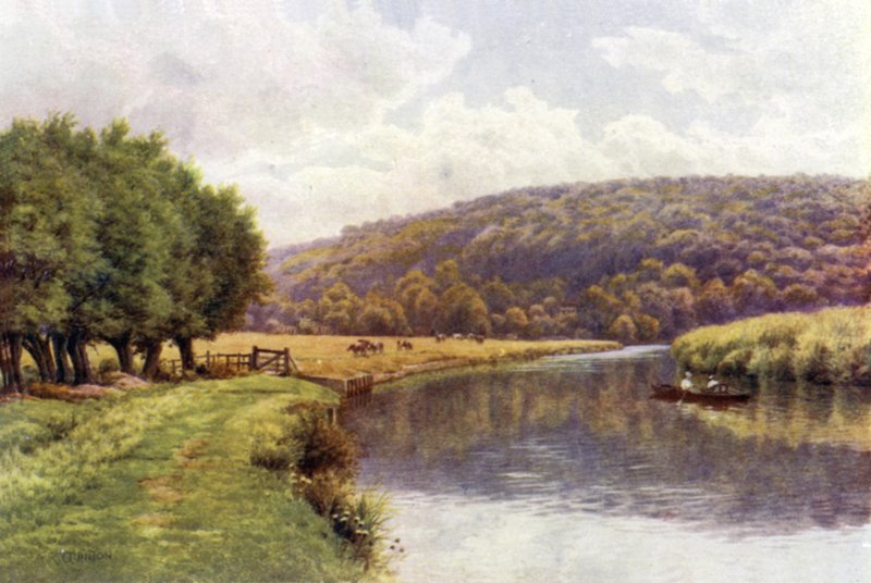 Quarry Woods, Marlow alkotó: Alfred Robert Quinton