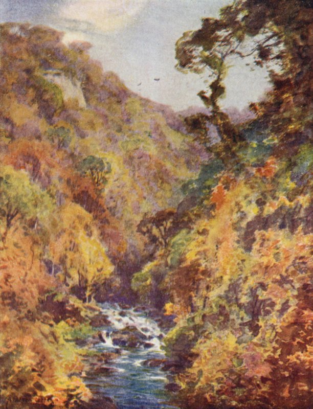 The Dargle, Wicklow megye alkotó: Alfred Heaton Cooper