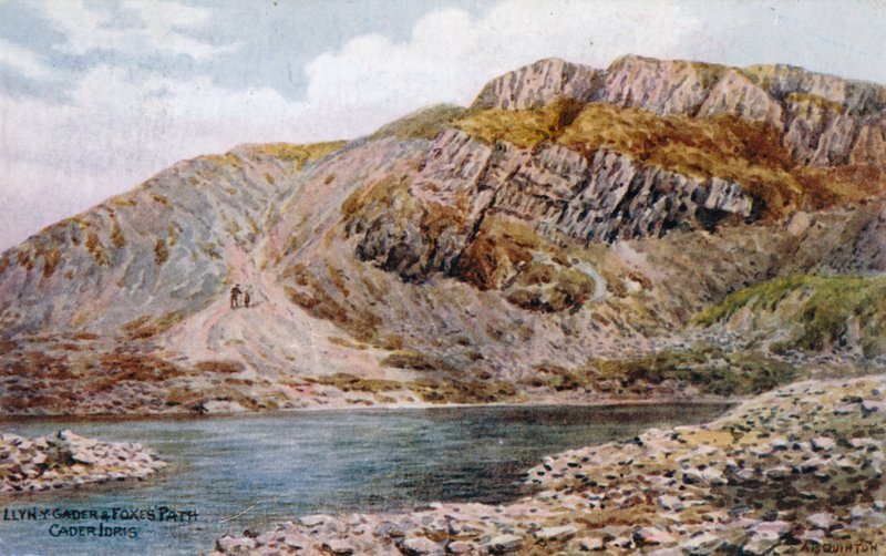 Llyn-y-Gader und Foxes