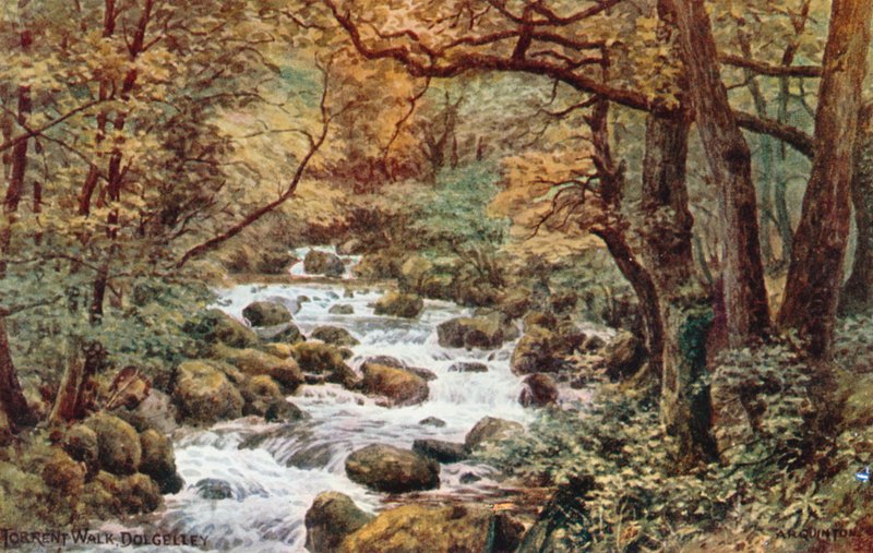 Torrent Walk, Dolgelley alkotó: Alfred Robert Quinton
